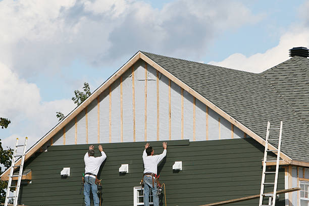 Best Vinyl Siding Installation  in Dakota City, NE